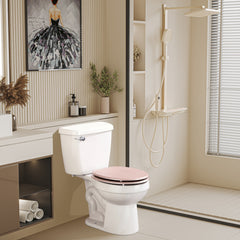 Toilet Seat